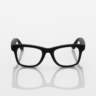 Ray-Ban Meta Wayfarer (50)